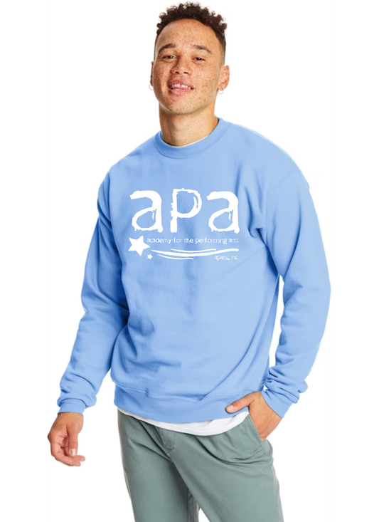 Light Blue Holiday Crewneck