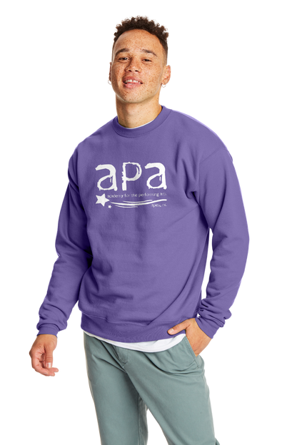 Purple/Teal Crewneck